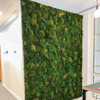 bespoke preserved moss wall